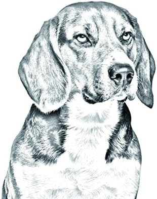 Beagle, lápide oval de azulejo de cerâmica com uma imagem de um cachorro