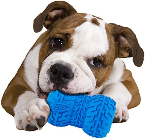 Nerf Dog 4 Treat Feeder Dog Toy, azul, grande