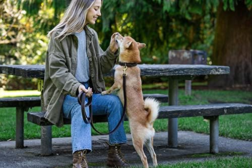 Coleira de cão de couro - trela de 6 pés para treinamento e caminhada - coleira de couro de classe para cães pequenos, médios e grandes - trela durável com fecho de latão sólido - eclipse