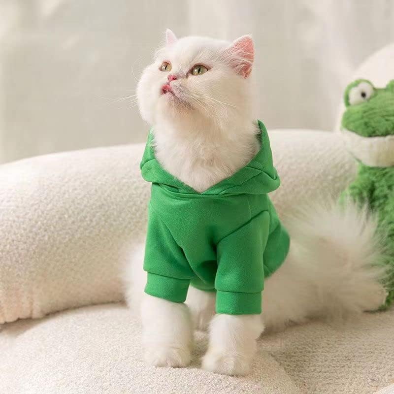 Capuz de dinossauro de richcatty pequeno traje engraçado para roupas de cosplay de gatos e cachorros para animais de estimação