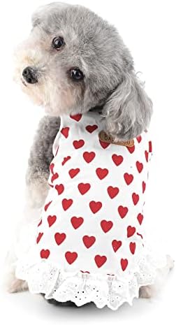 Ranphy Dog Dress for Small Dogs Girl Puppy Puppy Roupos de mangas animais de estimação com saia fofa de estampa de coração Doggy