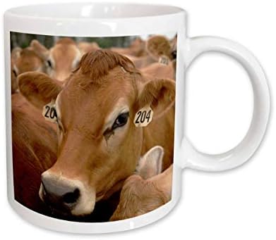 3drose Jersey Laticínios vacas, Rib Lake, Wisconsin - US50 KRS0004 - Keith e. - Canecas