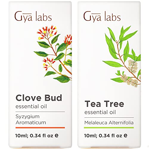 Óleo de enseada para dores de dente e óleo da árvore do chá para o conjunto de pele - de óleo essencial terapêutico conjunto
