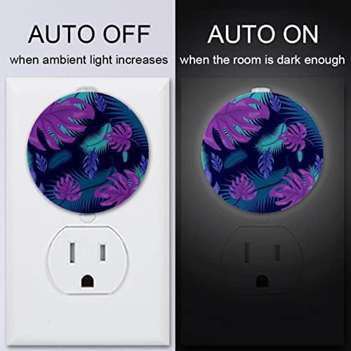 2 Pacote de plug-in Nightlight Night Night Light Tropical Leave