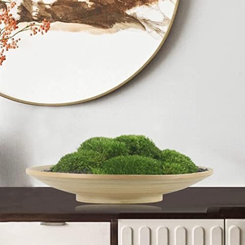 JGQGB estilo japonês Zen Moss Bonsai Escritório de vendas Hotel Club Table Table Decoration