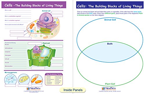 Células Guias de aprendizado visual, set/5-4 painéis, 11 x 17 guias laminados, visão gráfica colorida, atividades