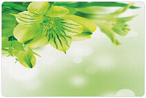 Tapete de estimação verde lunarável para alimentos e água, flor de flor fresca floresce com folhas plantas de jardim de cenário de bokeh abstrato, tapete de borracha retângulo de retângulo para cães e gatos, verde de limão verde verde