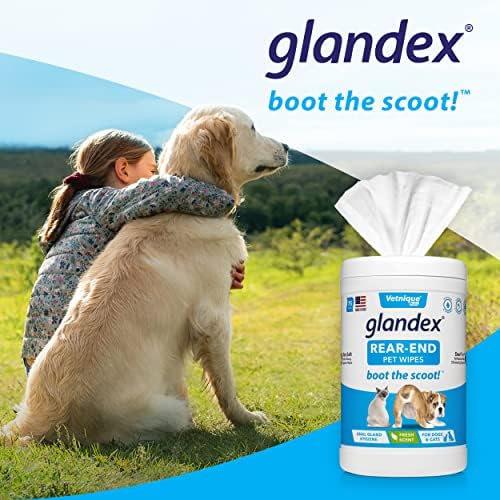 Vetnique Labs Glandex Dog Wipes para animais de estimação de limpeza e desodorização da higiênica de higiênica para cães e gatos com vitamina E, condicionadores de pele e aloe