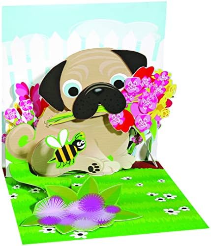 Com papel de aniversário para ele - Pug Bouquet pop -up, multicolor