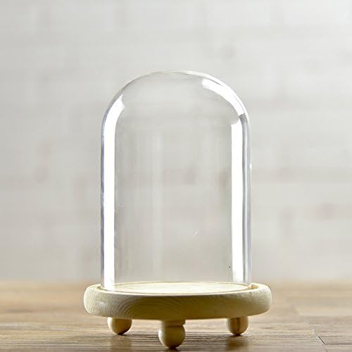 Siyaglass decorativa Dome de vidro transparente CLOCHE BELL TAPE D-3.9 H-7