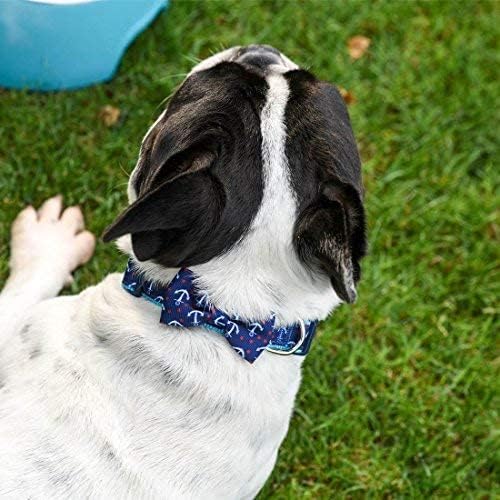 Azuza Dog -Collar Bircha, colares de cachorro macios ajustáveis ​​em gravata borboleta para cães pequenos