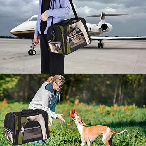 Portador de animais de estimação, transportadora de viagem de animais de estimação para cães gatos cachorros, animais cães gatos padrão
