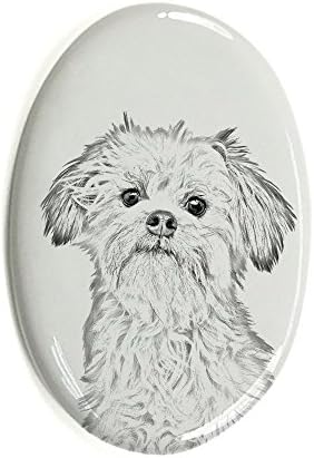 Lowchen, lápide oval de azulejo de cerâmica com a imagem de um cachorro