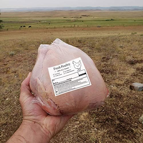 Etiquetas de congelador de aves, 4x3 polegadas com instruções de manuseio seguro, isenção, 50pcs