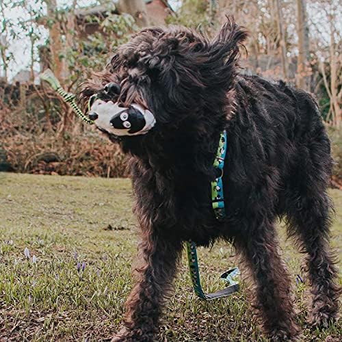 O brinquedo de cachorro de Max & Molly para cães para cães pequenos a médios, inclui mastigação de corda para brincar suave e dentição, leves, brinquedos leves, fofos e interativos para animais de estimação - Woody the Sheep