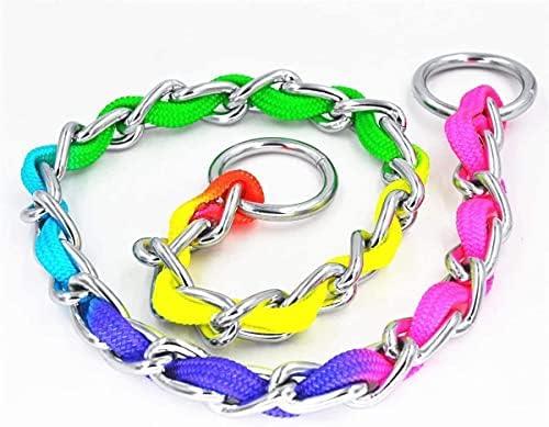 Pet Dog P Chain Collar Collar Rainbow Color Aço inoxidável Treinamento de aço colarinho de colarinho Treinamento de caminhada