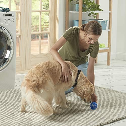 Franklin Pet Supply Treat and Play Dog Toy Ball - Treat - Play Fetch - Dog Enterta - Chew de cachorro - Ultra Tough -
