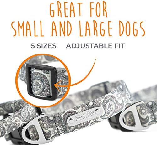 Colarinho de designer de Paisley Gray PAW Grey | Cães de colar estampado ajustáveis ​​elegantes. Feito com hardware pesado e correias de poliéster fofas e macias para pequenos a grandes animais de estimação.