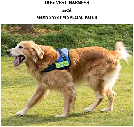 Sytoop Reflexive Service Dog Patches - Cão de serviço, cão de serviço em treinamento, não animal de estimação, melhor