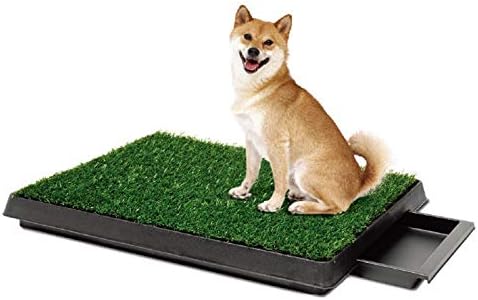 Bedpans de cachorro não -brandos com pastilhas de grama, camas de estimação portáteis que podem ser lavadas