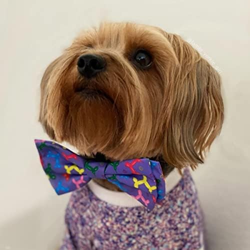 Huxley e Kent Bow Tie para animais de estimação | Doggy de balão | Velcro de velcro tirha de gravata borboleta acessório