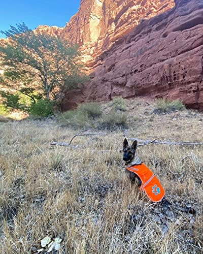 SAFETYPUP XD - colete de cachorro reflexivo. Hi-visibilidade, o colete de cachorro laranja de chamas fluorescentes ajuda a proteger