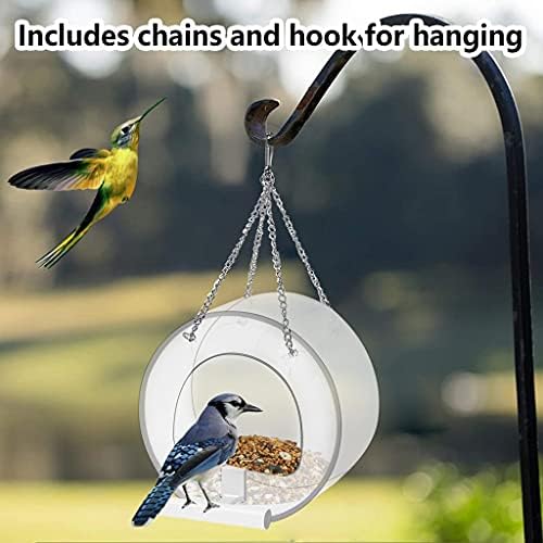 Walnuta 1pcs Aves alimentadoras Parrot Puolas de aço inoxidável recipiente com tigela de comida para macaw cinza periquito cockatiel bird gage acessórios