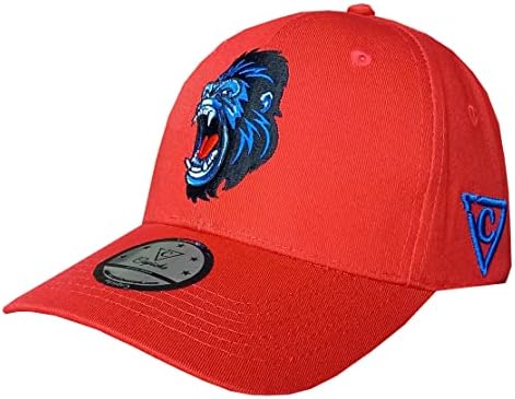 Capiche [99+ Variações] Snapback Cap Snapback - Tamanho único - Unissex - Men