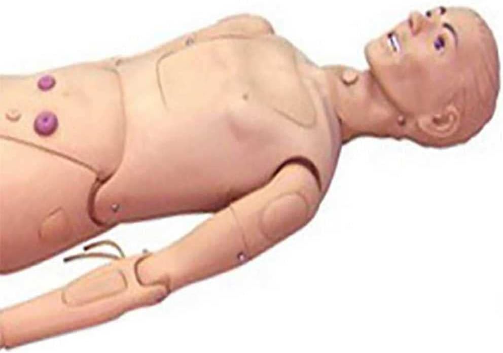 NIHE Treinamento Modelo Manikin Manequim Educação de pacientes Modelo de ensino de 170 cm PVC Anatômico Manequim,