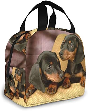 TMVFPyr Dog Bag Bag Cooler Bag Women Saco de lancheira isolada lancheira resistente a água resistente ao linear macio de almoço