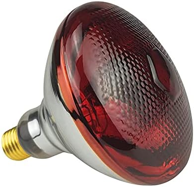 Bongbada 6 lâmpadas de lâmpada de calor de embalagem Bulbos infravermelhos vermelhos PAR38/100 watts Bulbo de lâmpada de vidro