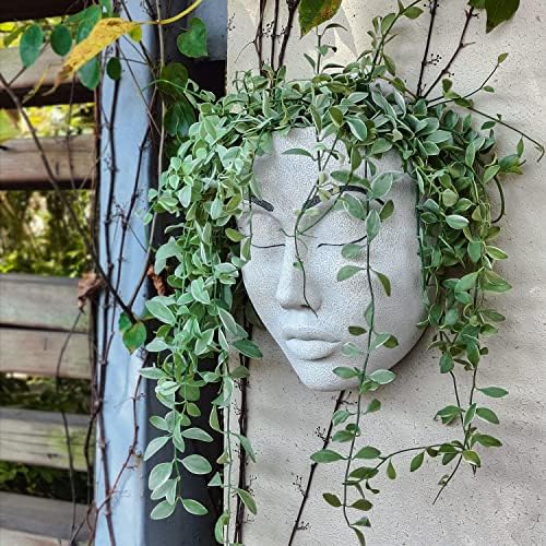 Hunthawk Face Plantador Plantador de cabeça para decoração de parede Plantador montado na parede Face Face Flowers Potes para plantas externas em interior Presente para amigos e familiares