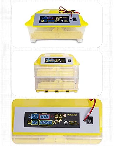 Incubadora de ovos digitais automáticos WGWIOO, Hatcher de garotas digitais pequenas, controle de temperatura do incubador de aves,