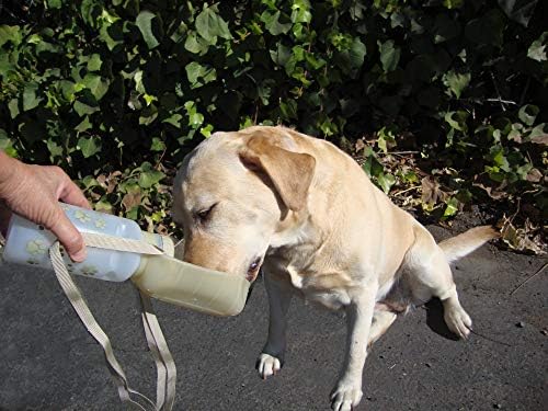 LIXIT HAVELAÇÃO Viagem dobrável Caminhada ao ar livre tigela de garrafa para cães