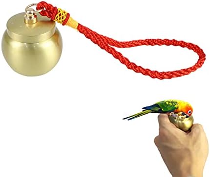 Noatpetin Parrot Travel Alimentador com cordão, caixa de alimentação de pássaros portátil para treinamento ao ar livre, forrageamento