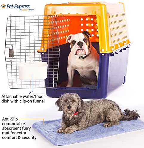 PET -Express Pet Crate - Durável, canil de cão para cães pesados, portador de animais de estimação aprovado pela companhia