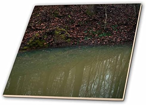 Fotografia 3drose de reflexões de árvores em água do riacho. - Azulejos