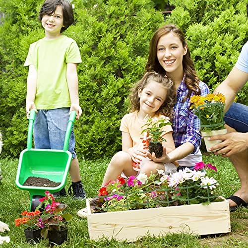 12 peças Apoiar as estacas, suporte de plantas para plantas internas, suporte verde meio redondo de planta, anel de suporte de plantas