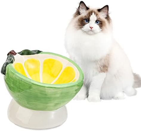 Tigela de comida de gato elevada inclinada - prato de gato elevado anti -vômito - tigela de gato de cerâmica larga de largura