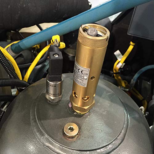 99289134 Válvula de segurança para a parte de substituição do compressor de ar parafuso
