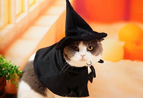 Cute Capeled Capuz Witch/Wizard Halloween Fantaspume de férias para cães pequenos e gatinho de gato, fantasia de gato