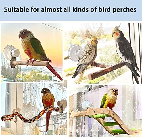 Cup de sucção definida para janela de pássaro/banho/carro/viagem poleiros - Adequado para Parrot de pássaro pequeno e médio