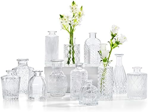 Vasos de brotos de vidro Cucumi Conjunto de 12, pequenos vasos para peças centrais, vaso para flores a granel para decorações