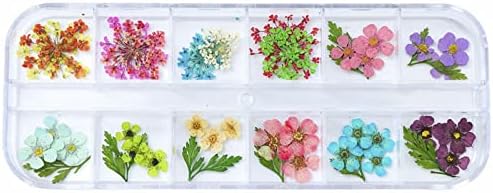 Vefsu primavera e verão 2022 moda 12 caixa unhas jóias de flores secas 6 Flores de unhas de moda feminina Flores de cera Lápis de cera
