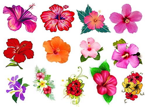 Kazcreations Hibiscus Flower Collection