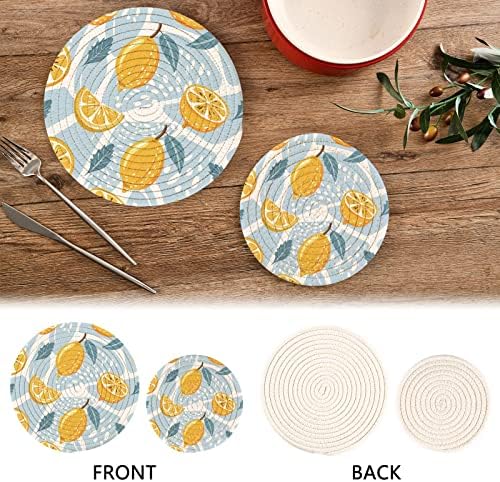 Alaza Tropical Fruit Lemon Slice Mint Folhas Titulares TRIVETS Defina 2 PCs, Potholders para cozinhas, montanhas -russas