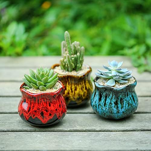 FullOOG Cute Cerâmico Suculento Plantadores, vasos de jardim com drenagem e pires anexos, conjunto de 6 - plantas