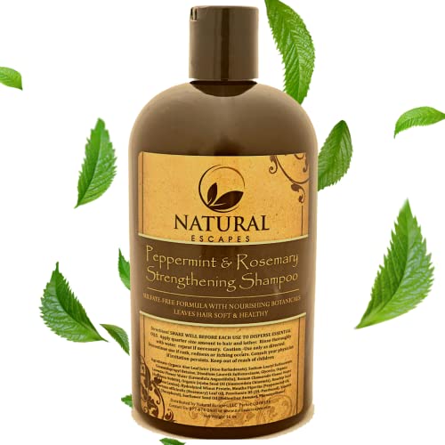 PEPPERMINT e ROSEMARY fortalecendo o shampoo | Shampoo orgânico para desbaste de cabelo e cabelo | Shampoo livre de sulfato com óleo de alecrim para crescimento do cabelo | Shampoo hidratante para cabelos macios | 16 oz