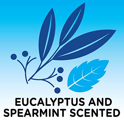 Brand - Solimo Eucalyptus e Banho de espuma perfumado com lançamentos com óleos essenciais, 34 onça fluida