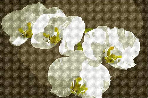 Kit de agulha de Pepita: orquídeas brancas, 10 x 7